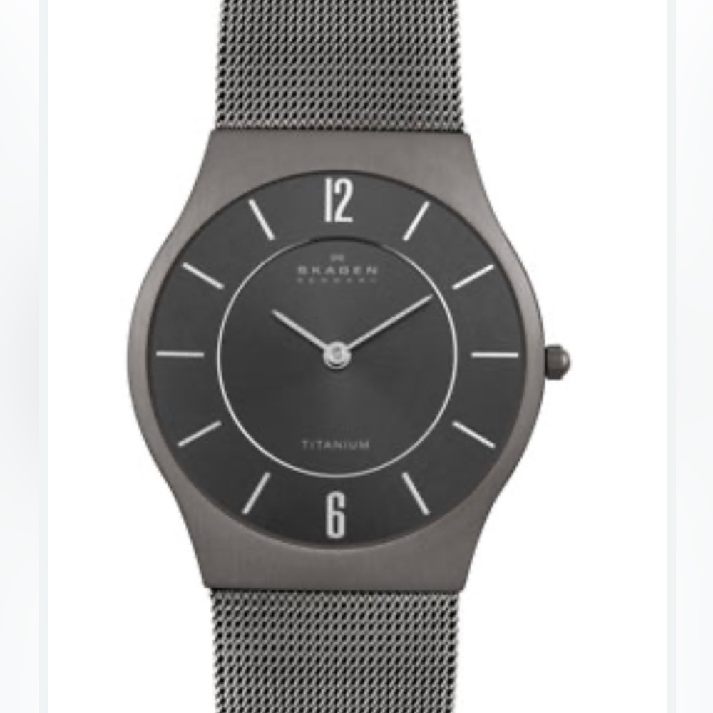 Skagen Gray Titanium Mesh Watch